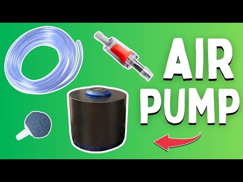How to Setup an Aquarium Air Pump (And What You Sh Check out the AQQA Air pump I use_ https_//amzn.to/43vgKX0
Visit the AQQA store for more useful aqua