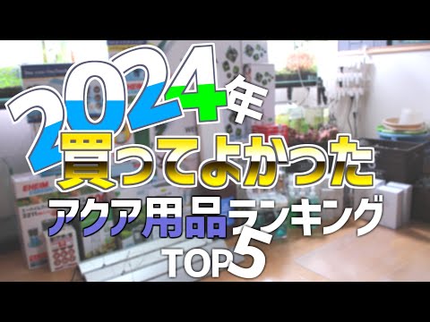 2024年買ってよかったアクアリウム用品ランキングTOP5！#623【アクアリウム】