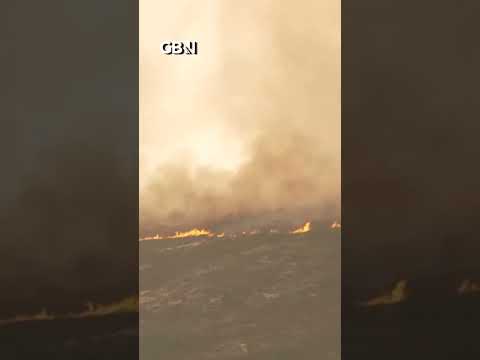 Wildfires TEARS through Spain's Castile and Leon as PM warns of extreme threat