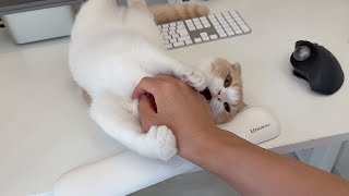 動画サムネイル