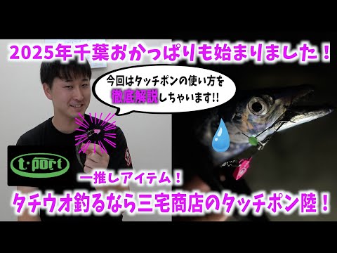 千葉のタチウオはタッチポン陸で攻略だ！使い方徹底解説します！
