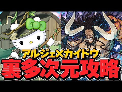 カイドウ所持者必見！アルジェキティとカイドウが相性抜群！裏多次元も余裕攻略！最強多色リーダー！【パズドラ】