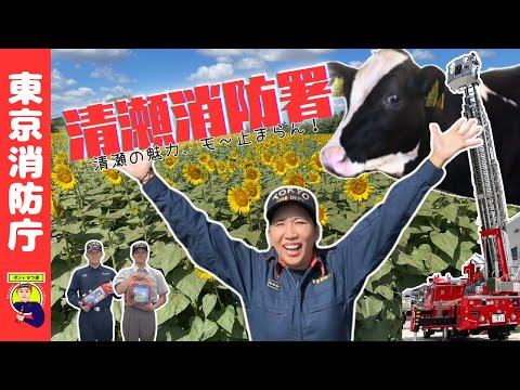 【サンフラワー】咲き誇れ！ 清瀬消防署【ポン×かつ道】
