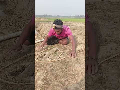 #shortvideo #funny #comedymovies