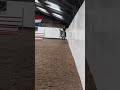 Show jumping horse 6 jarige merrie v. Baloubet Du Rouet x Corland