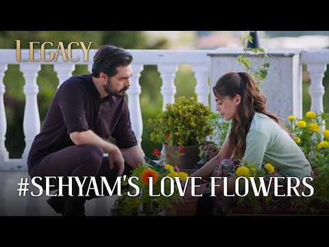 Yaman helps Seher | Legacy