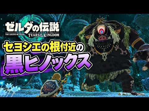 セヨシエの根付近の黒ヒノックス|ゼルダの伝説 ティアーズ オブ ザ キングダム Nintendo Switch 2 Edition