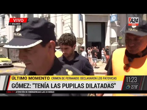 Crimen de Fernando Báez Sosa: el testigo que lloró al relatar lo que vio I A24