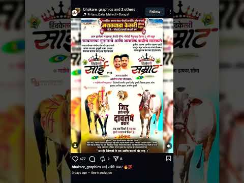 साई आणि सम्राट | फायनल व गुलालाचे मानकरी | #bailgadasharyat #bull #वायरल_शॉट_वीडियो #बकासुर