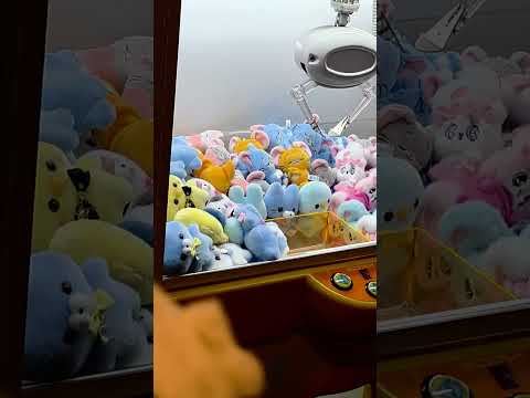 日本滑雪囉!就找 @Miyokotour