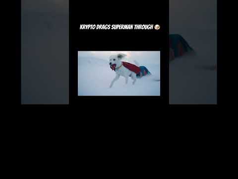 Superman(2025) toys teased ❄️👹 abominable snowmen but the scene got cut!🐶🦸‍♂️ #superman  #krypto