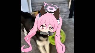 Pipe Bomb Toy 🐶 #ブルーアーカイブ #ブルアカ #블루아카이브 #bluearchiveglobal