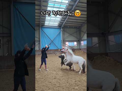 엉막이라고 알아?! 엉덩이 막기😝🦄Just love me!!❤️🔥