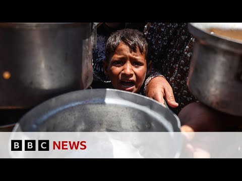 BBC and news agencies' film calling on Israel to allow foreign journalists into Gaza | BBC News