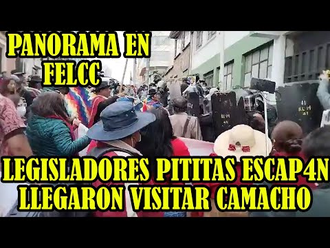 AUTOCONVOCADOS PROTESTAN CONTRA CAMACHO EN LAS AFUERA DE FELCC DE LA PAZ DONDE ESTA DET3NIDO CAMACHO