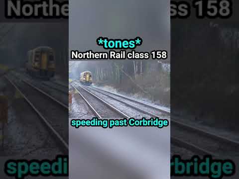 *tones* Northern Rail Class 158 speeding past Corbridge | #shorts