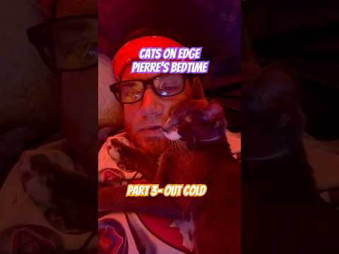 Kitten Falls Asleep on My Face (Part 3 of 3)