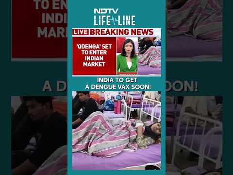 India To Get a Dengue Vax Soon! | NDTV Lifeline