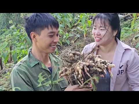 48 Hours, Harvesting Agricultural Products For Sale - Building Daily Life | Linh's Life