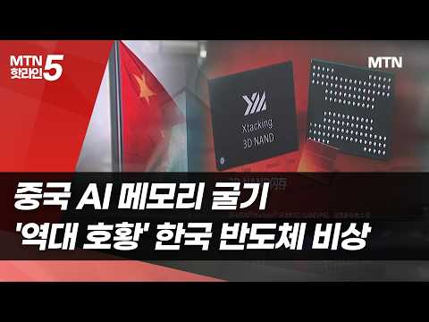 중국 AI <strong>메모리</strong> 굴기…‘역대급 호황’ 한국 <strong>반도체</strong> 비상  / 머니투데이방송 (뉴스)