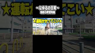 ～なゆるの日常～地獄の教習所編～　#猫ミーム　#猫マニ　#教習所　#あるある　 #vtuber