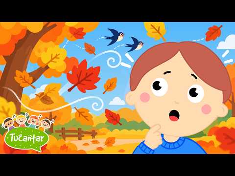 🍁 Dança do Outono 🍁 | Tucantar - Música Infantil