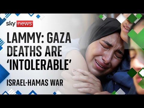 Foreign secretary says Gaza deaths are 'intolerable' | Israel-Hamas war