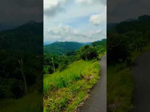 Kun fayakun #fypyoutubeshorts #foryou #fyp #doamustajab #doaislam #nature #viralvideo #viralshorts