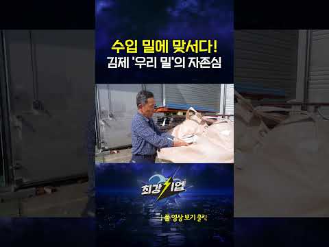 수입 밀에 맞서다! 김제 '우리 밀'의 자존심 #shorts