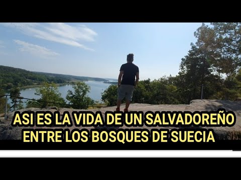 Salvadoreño muestra como es la vida en Suecia y sus bosque