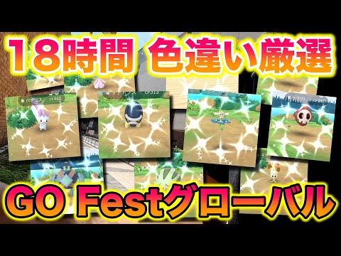 【検証】GO FEST2025グローバルで18時間歩き通常色ガン無視して色違い何匹ゲットできるか？【ポケモンGO】