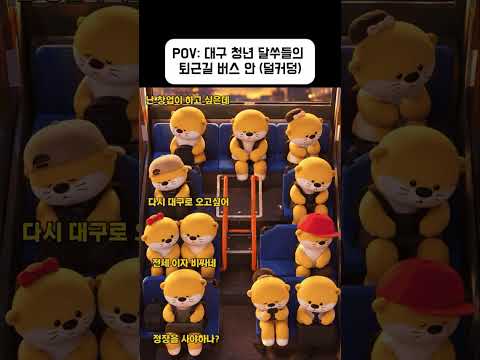 🚌 대구 청년 달쑤들, 버스 안에서 무슨 생각해? 💭