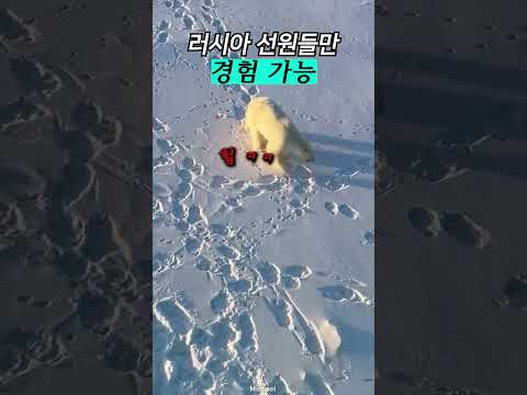 <strong>러시아</strong> 북극 선원만 매일 보는 광경
