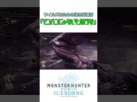 ワイルズのための操虫棍練習なのになんのゲームか分からなくなる【モンスターハンターワールド】#MONSTERHUNTERWORLD #モンスターハンターワールド #モンスターハンターワイルズ