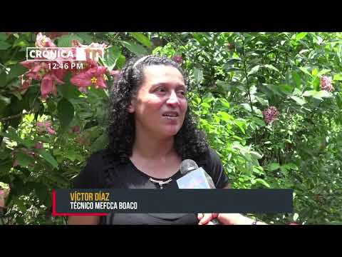 Patio saludable con prácticas amigables al medio ambiente en Boaco - Nicaragua