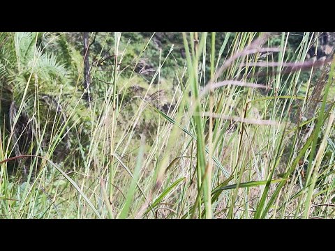 Welcome in my 360th support Live Strem || Connect 🔄 India🇮🇳 Connect 🔄 Globally 🌍