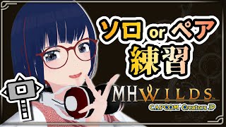 そういえば新スキル試し&装備更新しっかりやってなかった 【MHWilds】#MHWilds #モンハンワイルズ #vtuber #CCJP