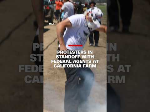 Protesters in standoff with federal agents at California farm