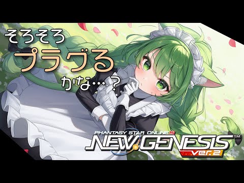 【PSO2NGS】現装備でDPS40000越えは見れたしそろそろ２の日に備えてプラグル導入するかしら？【幻ノノア/Ship7】