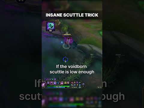 Syndra W Scuttle Trick (Insane Vision Setup)