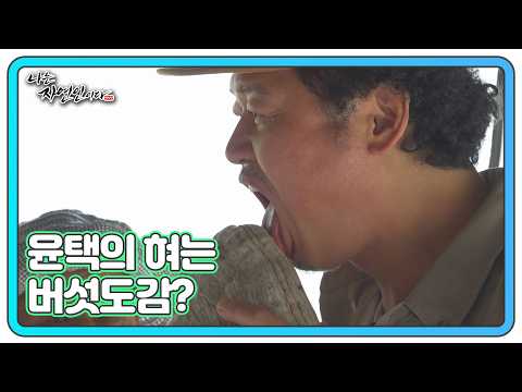 “이건 무슨 버섯?” 윤택의 혀 판별법 MBN 261005 방송