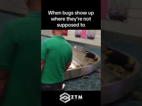 When Your Code Has Other Plans…