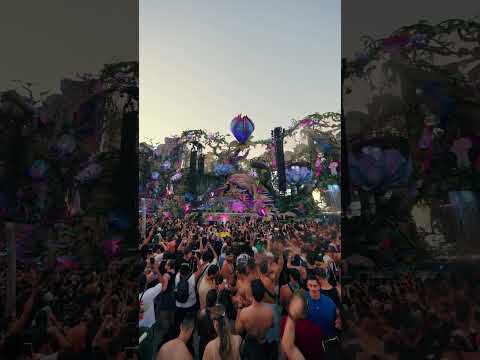 Kevin de Vries at the LIFE MainStage at Tomorrowland Brasil.