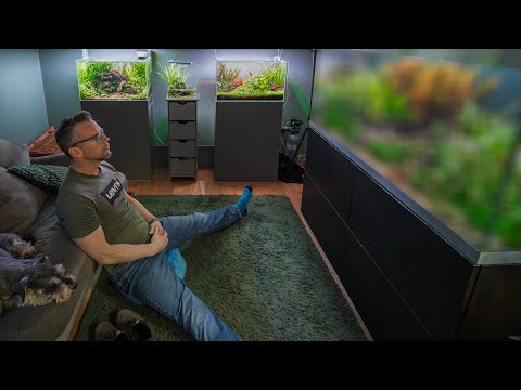 Thoughts on aquascaping contests and other stuff ( PRE-ORDER AQUATIC HABITATS BOOK NOW - https_//amzn.to/416WJlj

Website - https_//www.georgefarmerstu