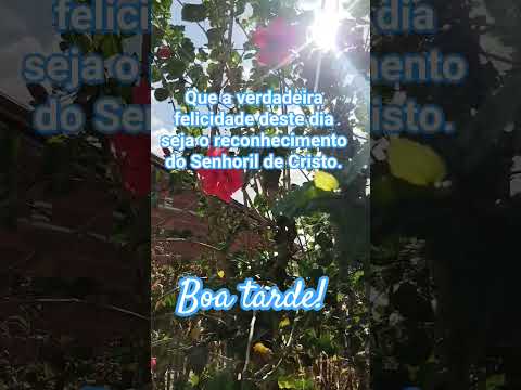 A grade felicidade #mensagem #bomdiaamor #fe #jesus #mensagensdivinas #motivacional #caminhosdosenho