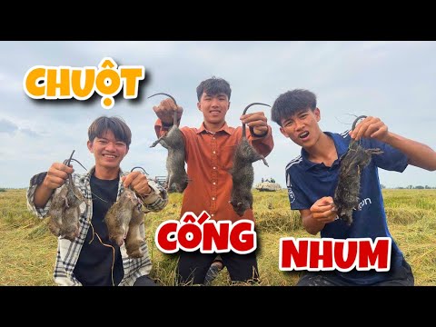 Anh Ba Phai | Sinh Tồn Bắt Chuột Ngoài Đồng