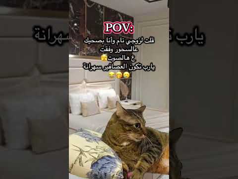 كيف تتطلقي ب٣ خطوات 😂😂