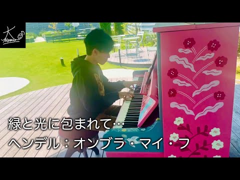 【ストリートピアノ】自然豊かな緑と優しい光に包まれて…（ヘンデル：オンブラ・マイ・フ／Handel: 