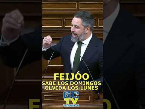 FEIJÓO lo sabe los DOMINGOS y se le olvida los LUNES Abascal (VOX) sobre acuerdos con Sánchez