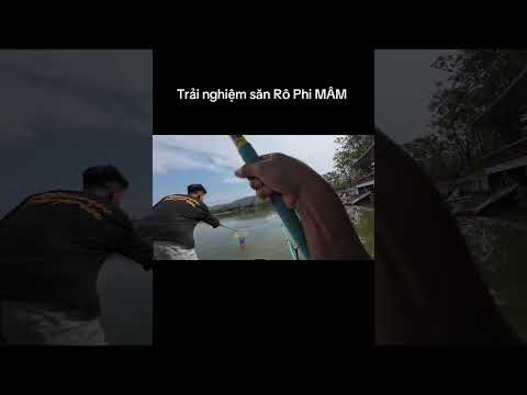 Trải nghiệm cắm trại câu cá, săn rô phi cụ tại Vịnh 4 Mùa - La Ngà #ducauky #caucacamtrai #cauca